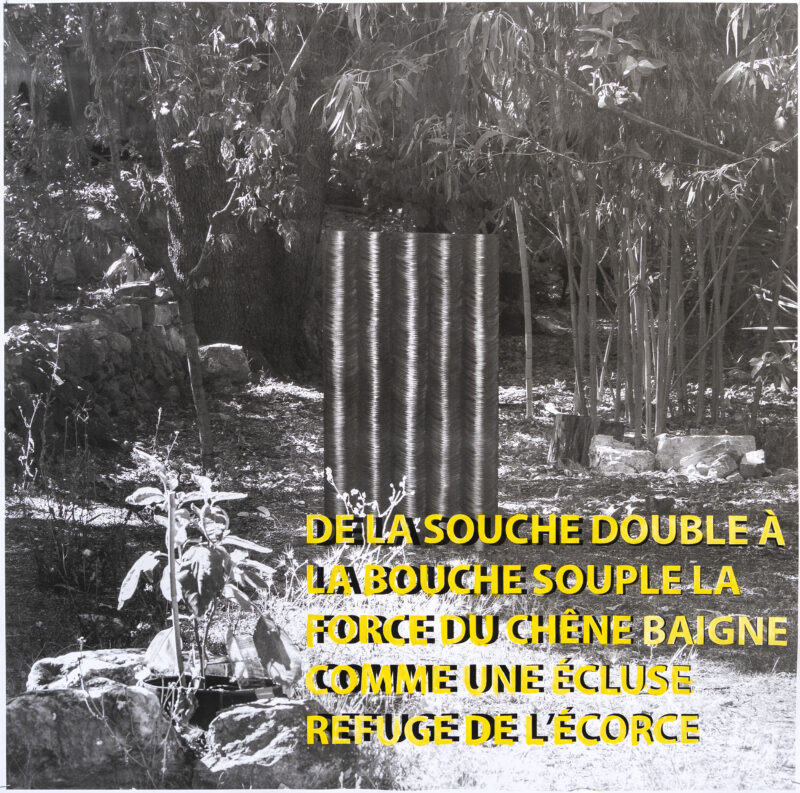 De la souche double